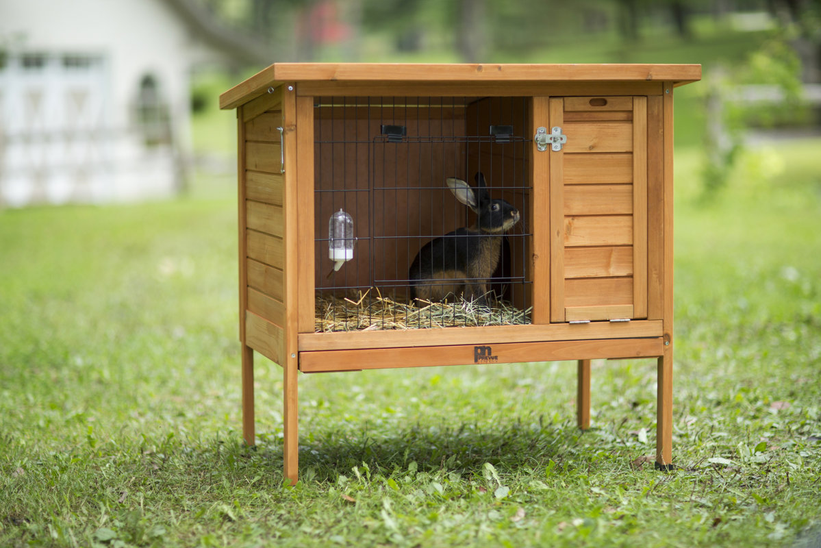 Prevue Hendryx Rabbit Hutch & Reviews Wayfair