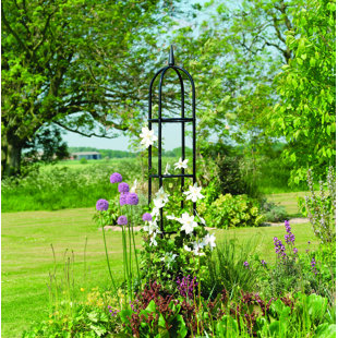 Trellises You Ll Love Wayfair Steel Obelisk Trellis