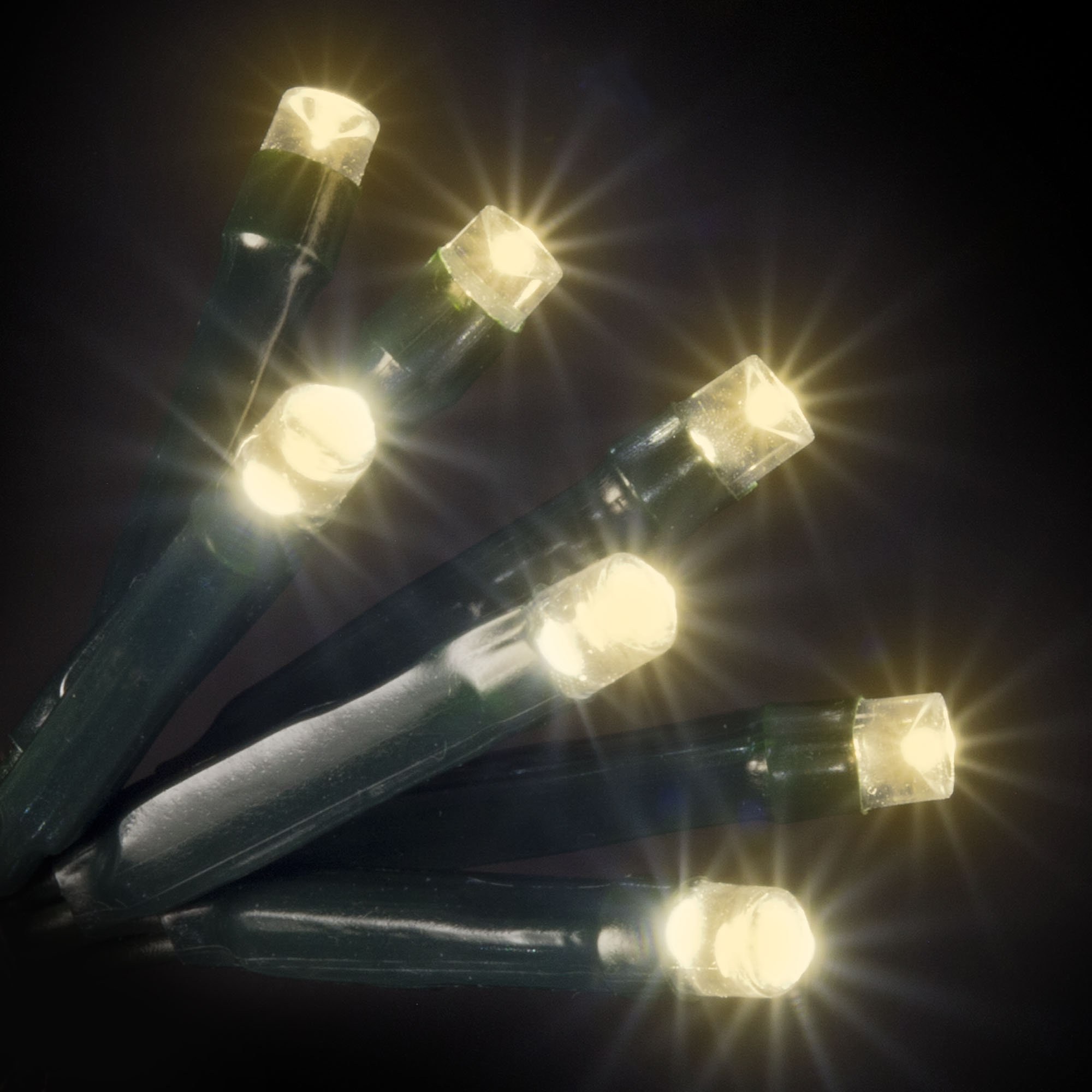 Hometime 100 LED Warm White Lights You'll Love | Wayfair | Wayfair