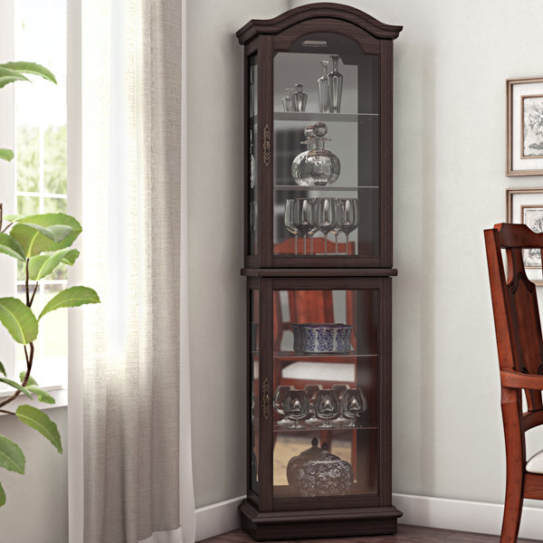 Loyer Lighted Curio Cabinet By Charlton Home Reviews