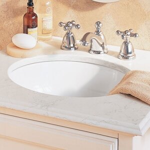 Ovalyn Universal Access Oval Undermount Bathroom Sink with Overflow