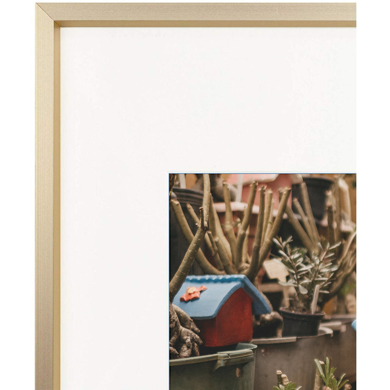 Wayfair Basics Norcross Aluminum Thin Border Design Picture Frame