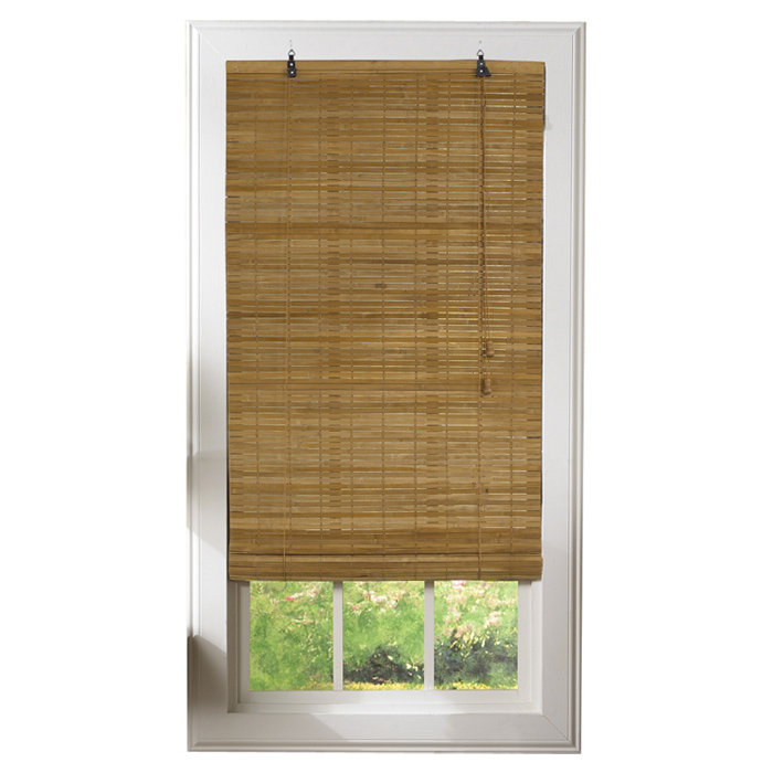 Radiance Nix RollUp Shade & Reviews Wayfair