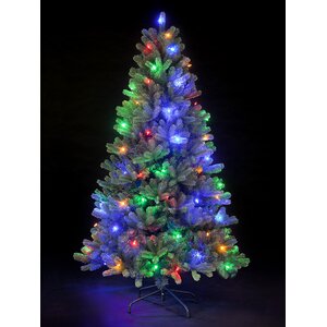 Snowtime 7.5' Green Pre-Lit Rocky Mountain Artificial Christmas Tree with 600 Color Lights