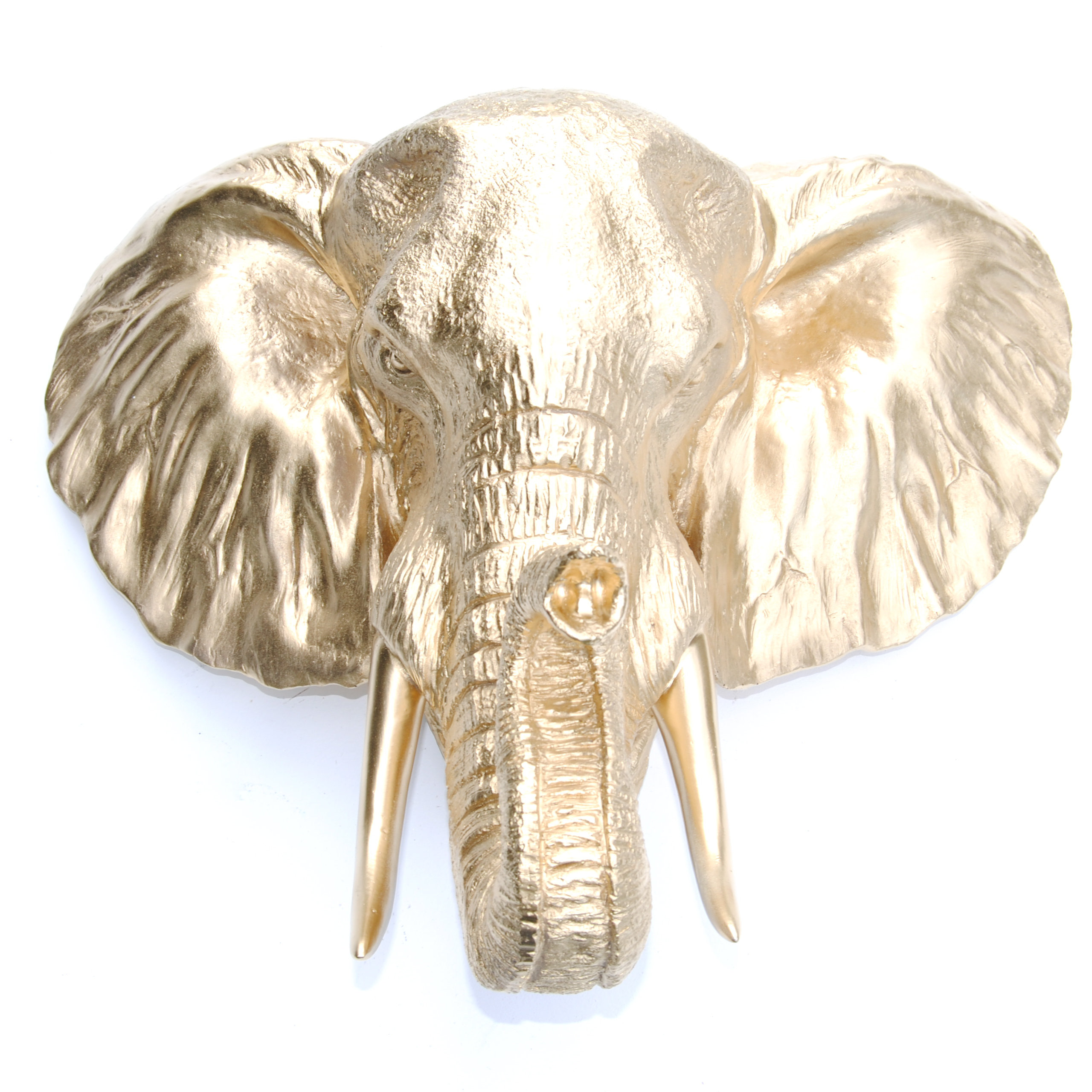 Near And Deer Faux Taxidermy Resin Elephant Head Wall Décor Near And Deer Faux Taxidermy Resin Elephant Head Wall Décor Reviews Wayfair
