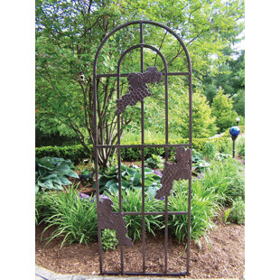 Metal Garden Arch Trellis Wayfair Grape Steel Arched Trellis