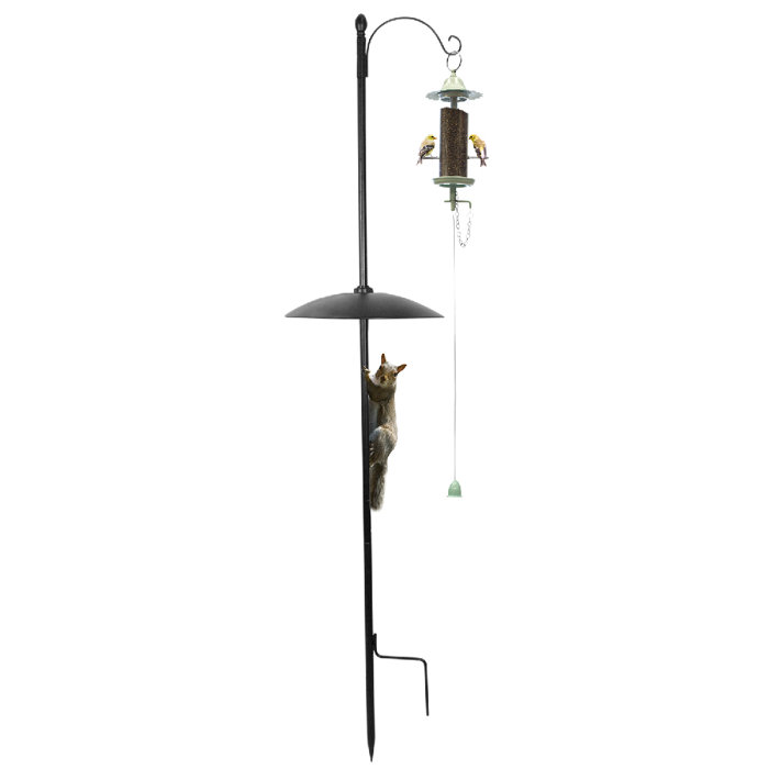 Effortless Products Llc Squirrel Baffle Kit Wayfair Ca