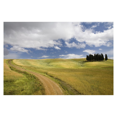 Cypresses in Tuscany 3.2m x 4.8m Textured Matt Peel & Stick Wall Mural East Urban Home