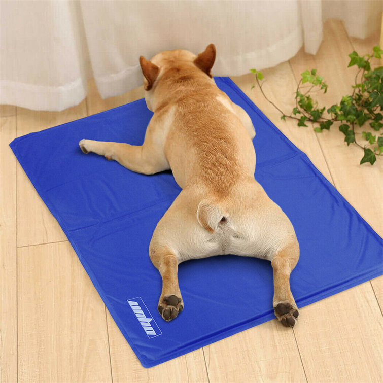 cold mat for dogs