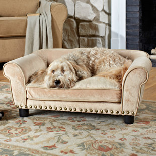 Overstuffed Luxury Dog Sofa Wayfair Coolidge Dog Sofa