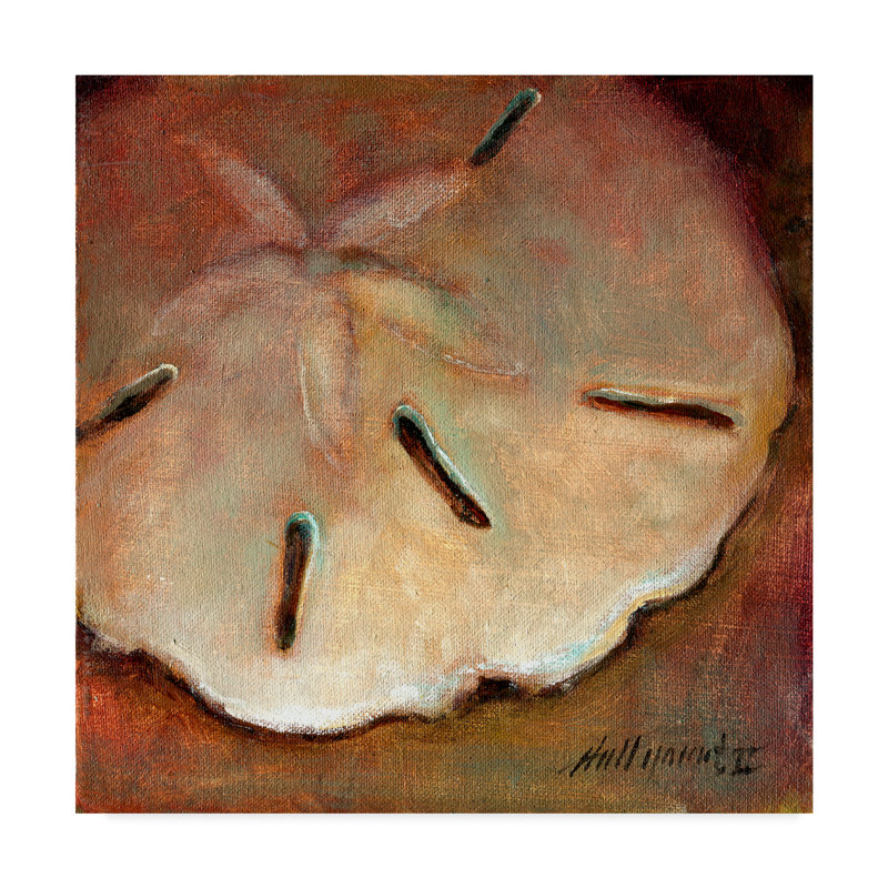 Trademark Art Sand Dollar Centered Acrylic Painting Print On
