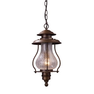 Wikshire 1-Light Outdoor Hanging Lantern