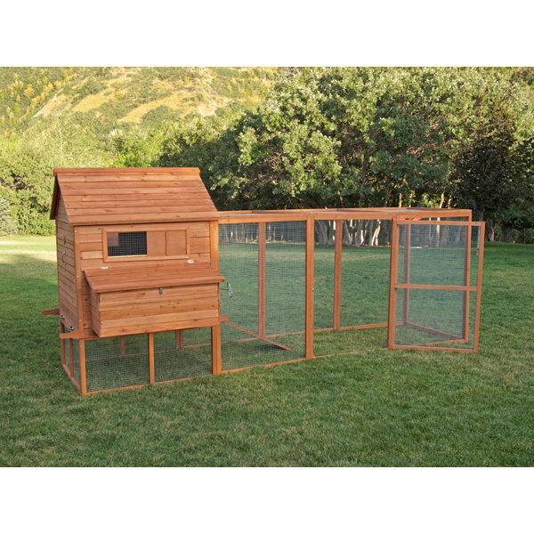 Ranch Chicken Coop with Roosting Bar by Chicken Sa