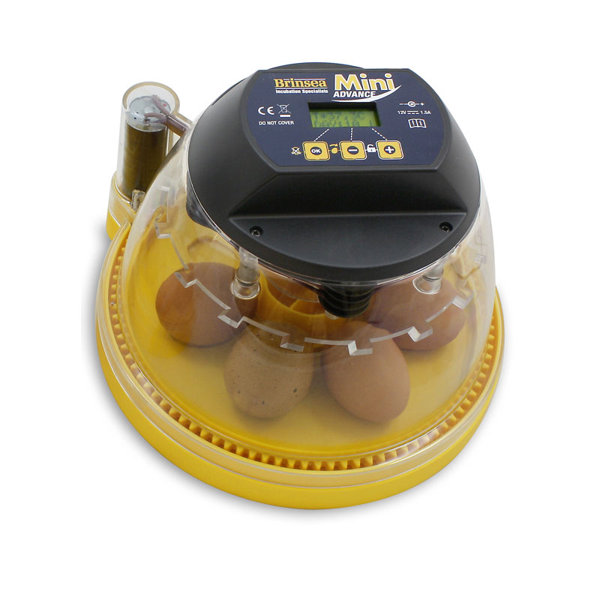 Chicken Coop Accessories You'll Love Wayfair