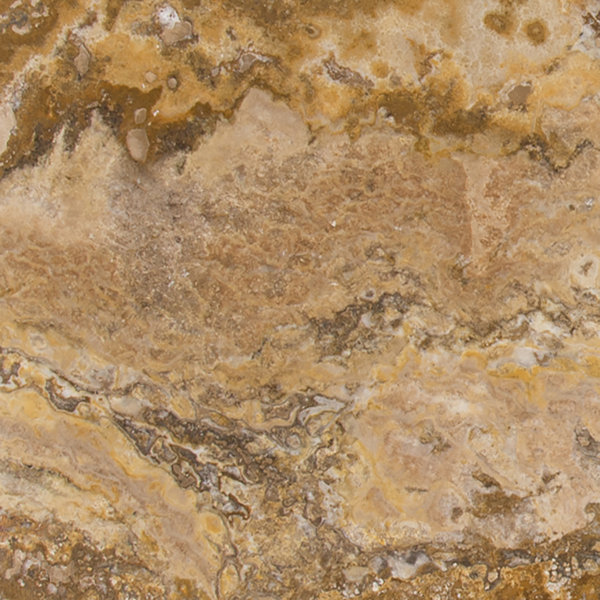 Tuscany Scabas 18 x 18 Honed And Filled Tile in Yellow by MSI