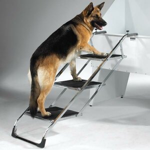 Non Skid 4 Step Pet Stair