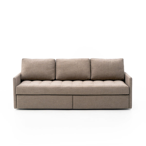 Priyanka Standard Day Sleeper By Brayden Studio