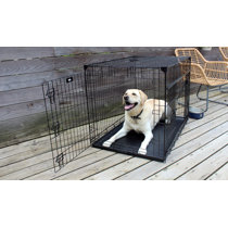 plastic collapsible dog crate
