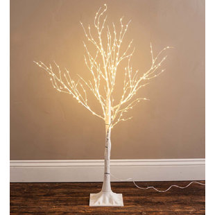 Lighted Birch Trees Lighted Birch Trees