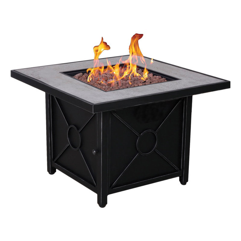 Gracie Oaks Darrel Stainless Steel Propane And Natural Gas Fire