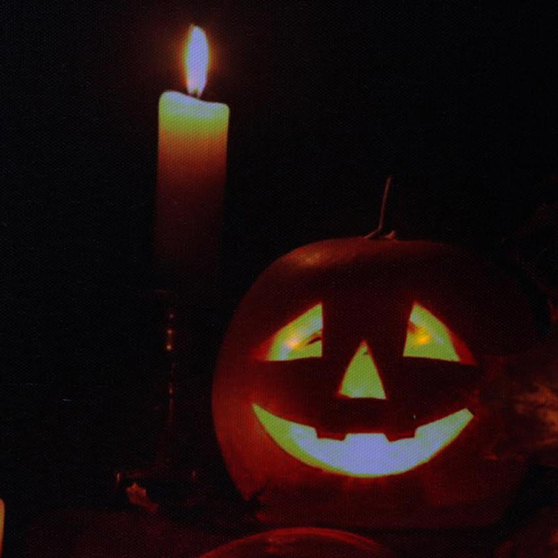 The Holiday Aisle Led Lighted Halloween Jack O Lanterns Fall
