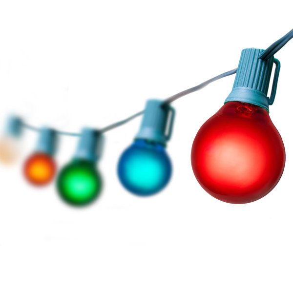 25-Light String Light by Wintergreen Lighting
