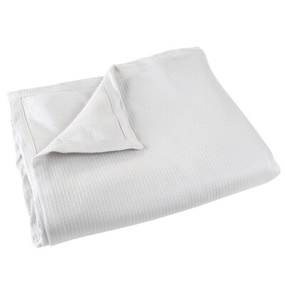 Guinyard Cotton Blanket Three Posts™ Size: Twin, Color: Platinum