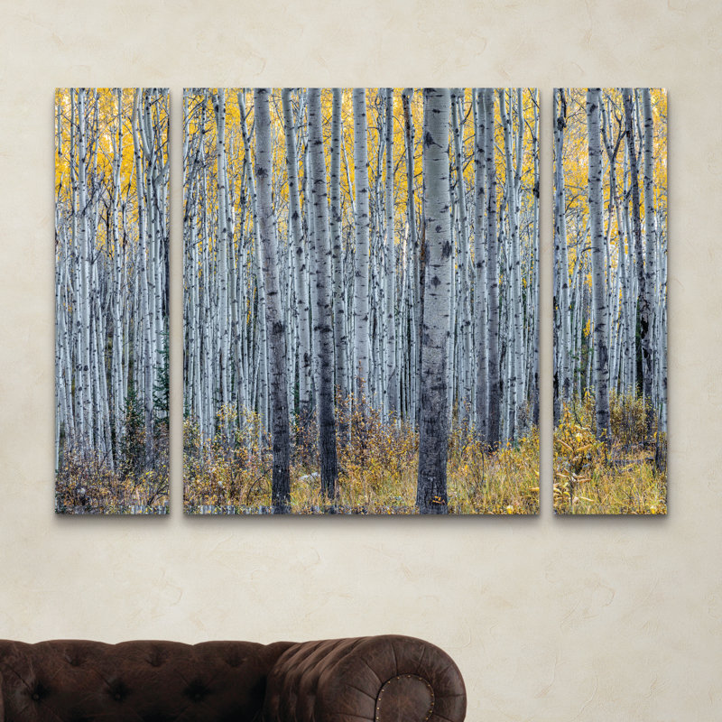 East Urban Home Forest Of Aspen Trees Photographic Print Multi