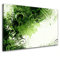 Jungle Drum Graphic Art on Canvas