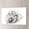 Orchid Blossom Photographic Print on Canvas