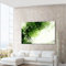 Jungle Drum Graphic Art on Canvas