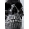 Skull Head Decorative Object