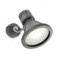 1 Head Outdoor Spotlight