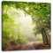Rays of Sun on Forest Path Photographic Print on Canvas
