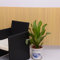 Outdoor Roll-Up blind
