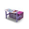 Frozen Toy Storage Bench