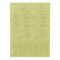 Green Area Rug