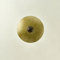 Mestre 1 Light Flush Wall/Ceiling Light