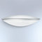 1 Light Outdoor Flush Mount
