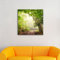 Rays of Sun on Forest Path Photographic Print on Canvas