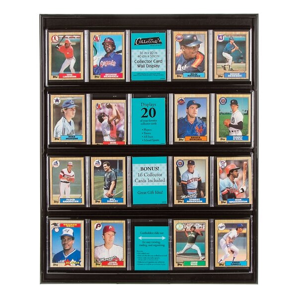 Collector Card Display by Darice
