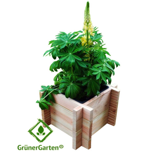 Zamarripa Wooden Planter Box Sol 72 Outdoor Size: 29cm H x 40cm W x 40cm D