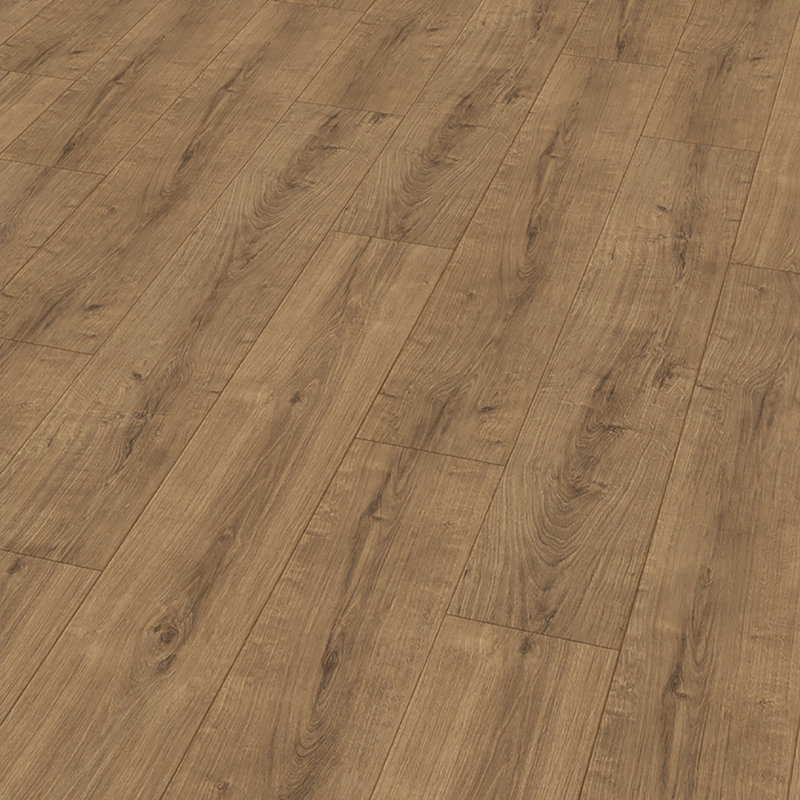 Elesgo Floor Usa 7 X 47 X 11mm Oak Laminate Flooring Wayfair