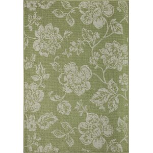 Kofi Green/White Indoor/Outdoor Area Rug