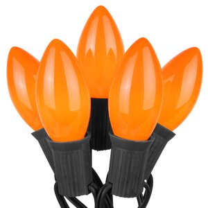 Commercial Opaque Halloween 50 Light String Light