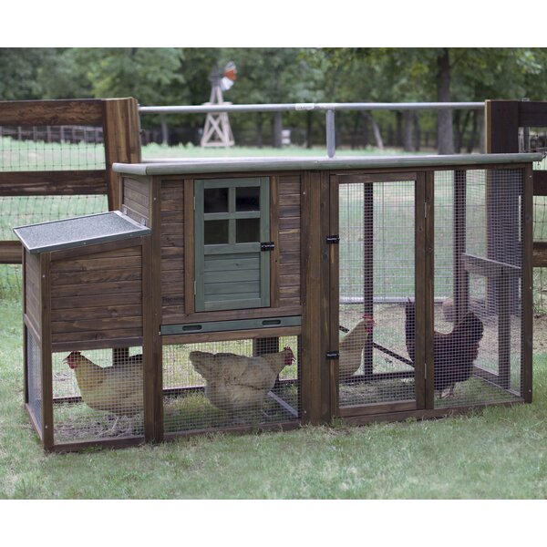 Hen House II Chicken Coop with Roosting Bar by Precision Pet Products