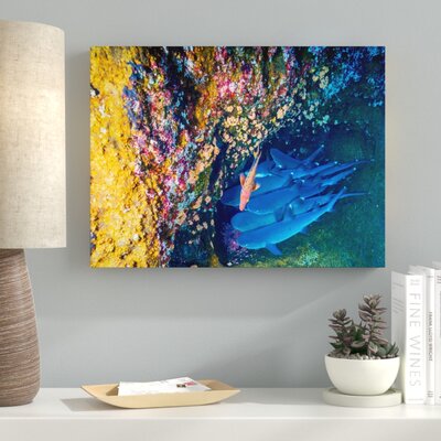 'Sharp Colors (119)' Photographic Print on Canvas Ebern Designs Size: 24