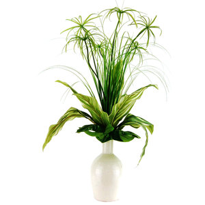 Cypress Grass and Dracaena in a Ceramic Vase