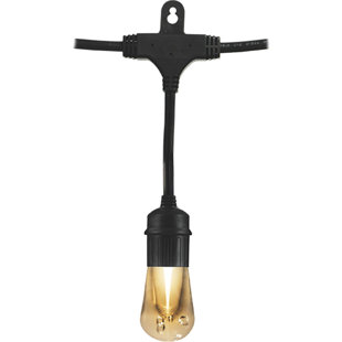 Best Vintage LED Café 12 Light Globe String Lights By Enlighten ® by Jasco Outdoor Lighting Vintage LED Café 12 Light Globe String Lights By Enlighten ® by Jasco Outdoor Lighting
