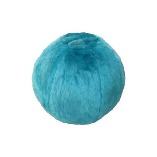 Fuzzy Yoga Ball Wayfair Yoga Exercise Ball Chair
